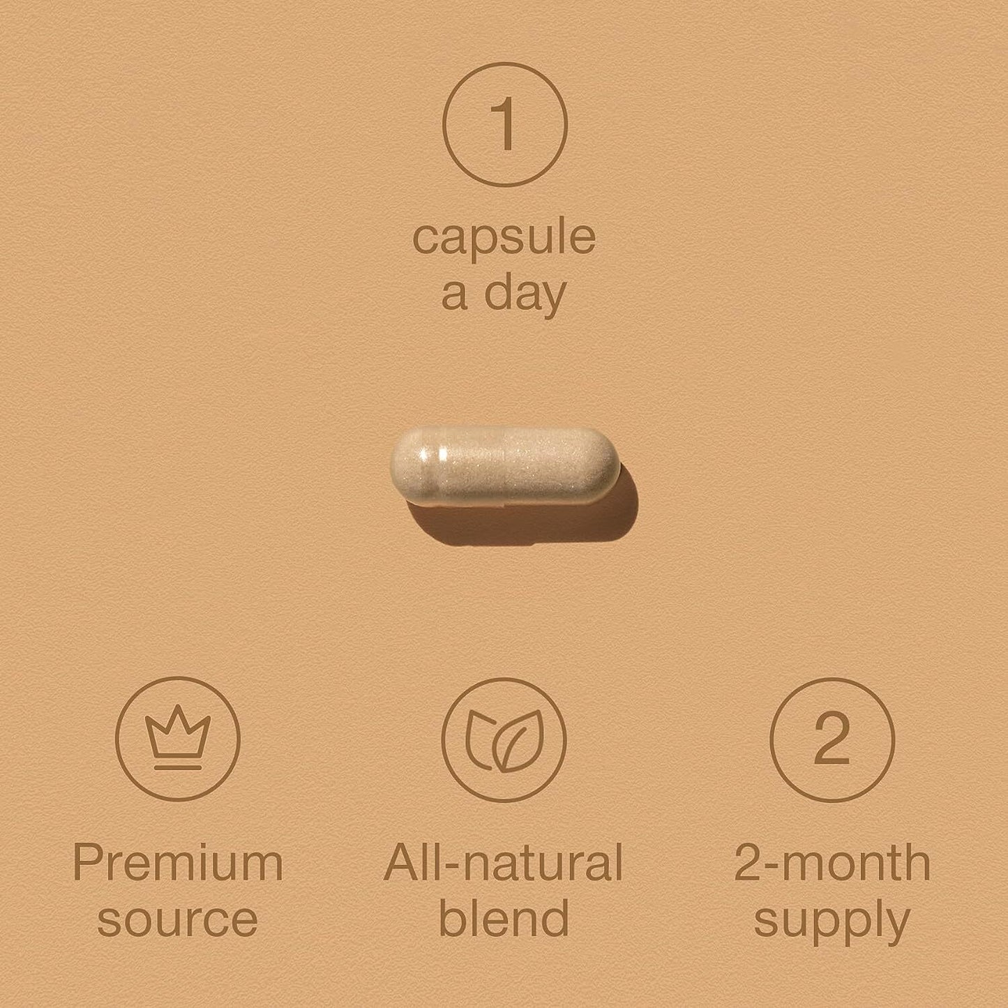Panax Korean Ginseng Tablets