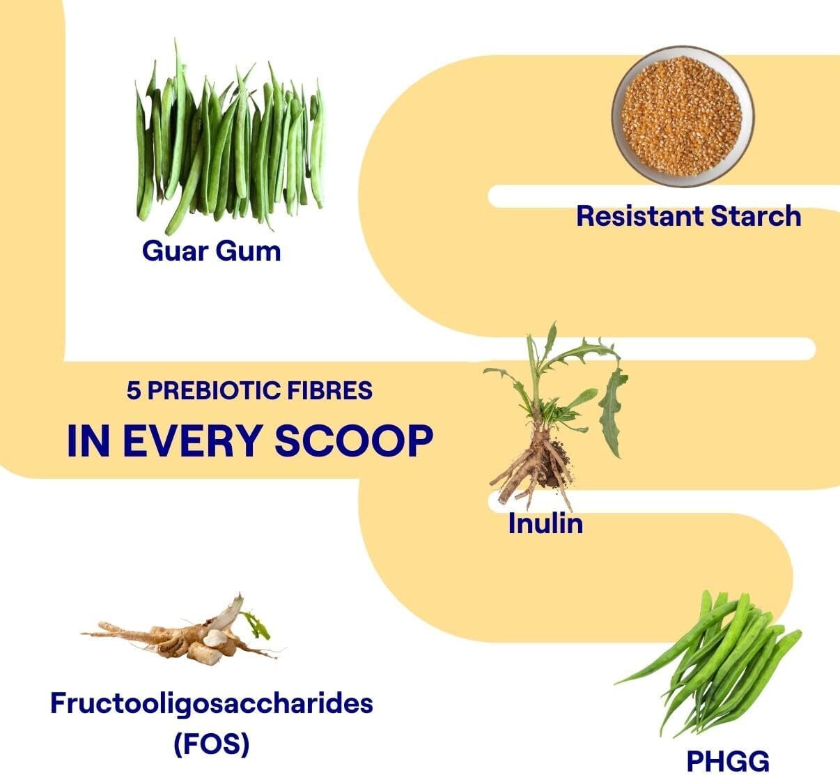 Prebiotic Fibre Supplement, Supports Digestive Health, Immunity & Mood, 1/3 NHS Daily Fibre. 300g myota Immunity Booster. Suitable for Adults and Kids. Gluten-Free, Vegan, 100% Natural.