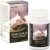Great Cum x3 in a double pack, 2 x 30 caps sex tablets for men