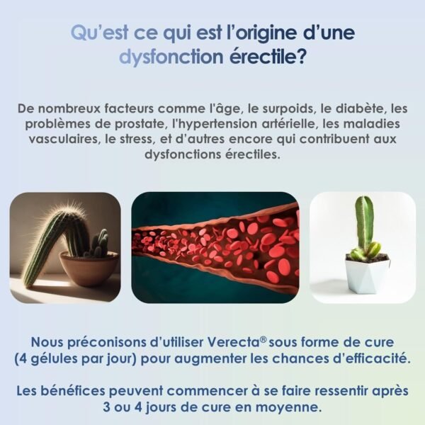 Erecta Improves sexual erection endurance performance of men 40 capsules